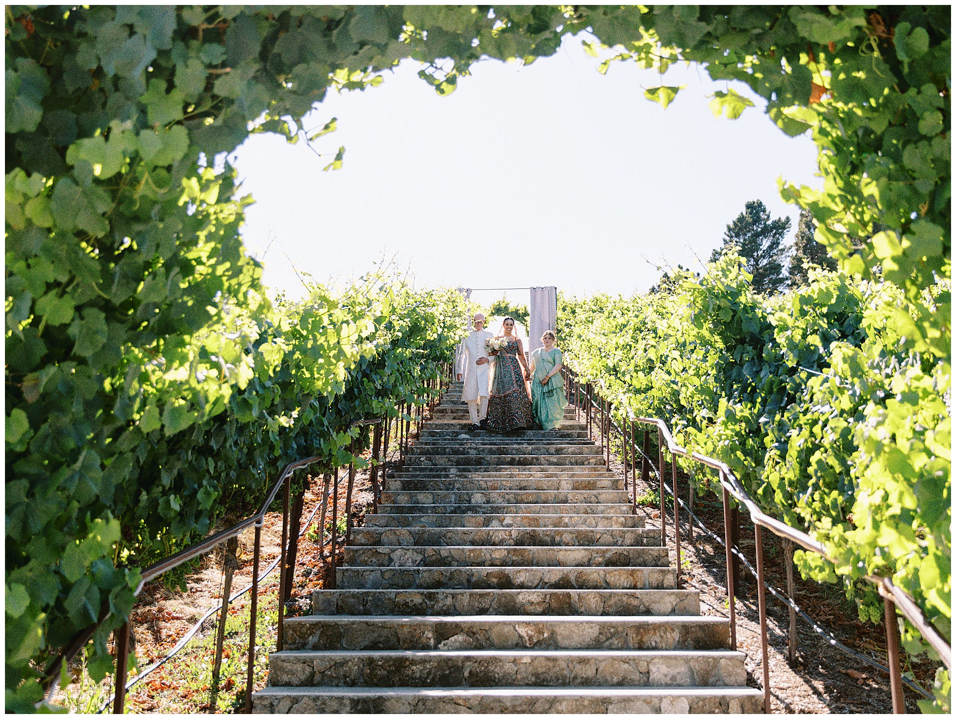Nella Terra Wedding Photography in Northern California by hybrid film photographer Jessi Clare